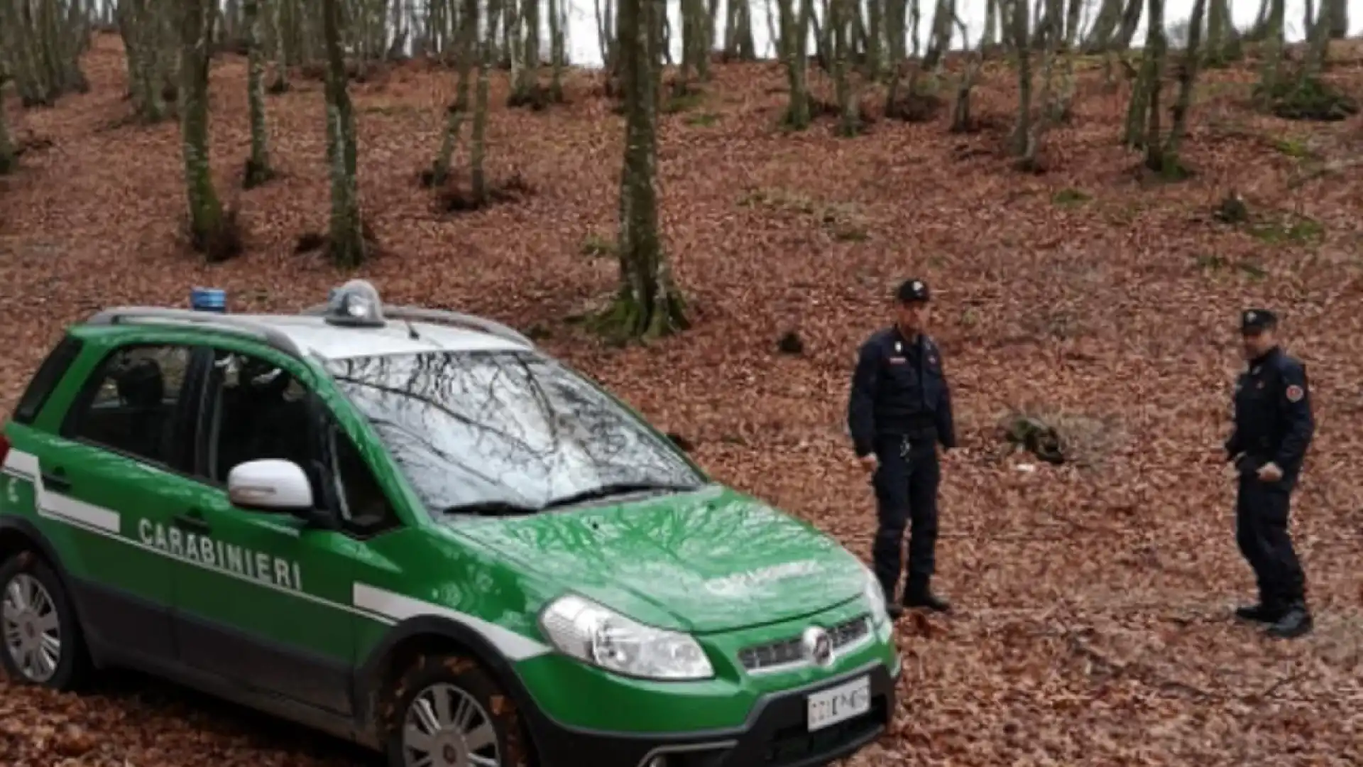 Torna in Molise ed Abruzzo la giornata nazionale degli alberi. Patrimonio arboreo da valorizzare anche negli spazi urbani.